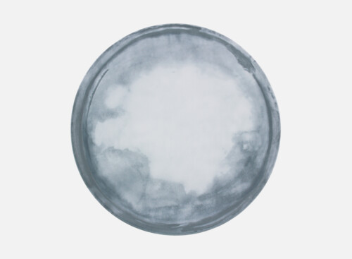 Teller flach rund coup 26cm