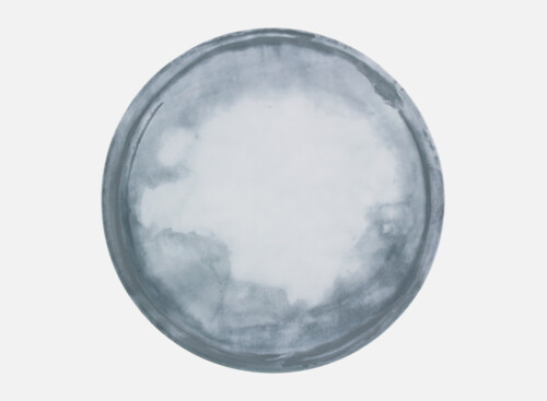 Plate flat round coupe 28cm