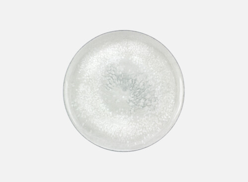 Teller flach rund coup 17cm