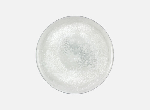 Teller flach rund coup 20cm