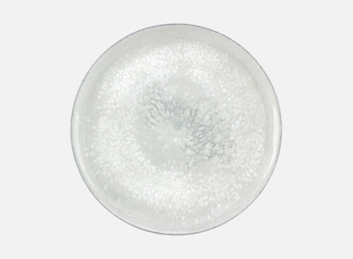 Teller flach rund coup 26cm