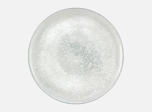 Teller flach rund coup 28cm