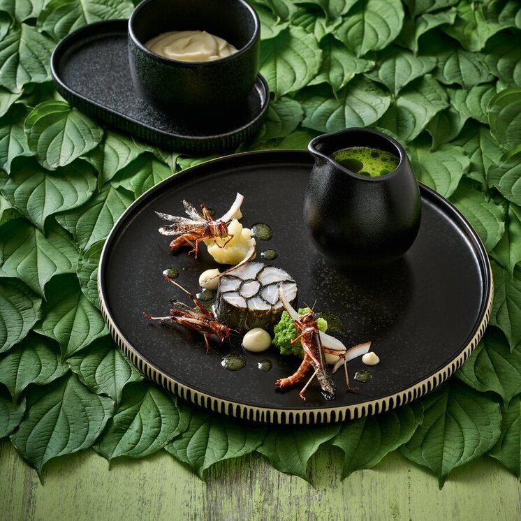 Food with Playground Where Joyful Dining Meets Playful Adventures Food with Playground Where Joyful Dining Meets Playful Adventures